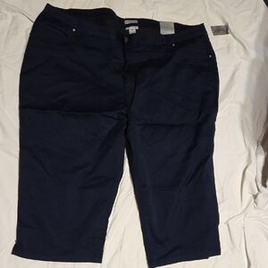 Catherines Dark Blue shorts